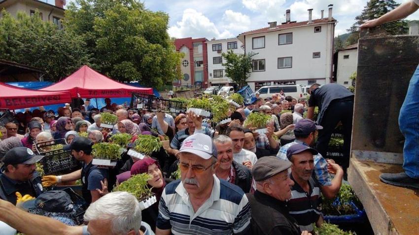 Bedava dağıtıldığını duyan oraya akın etti! Kamyonlarla getirildi, dakikalar içinde tükendi