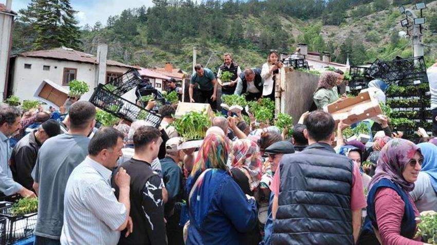 Bedava dağıtıldığını duyan oraya akın etti! Kamyonlarla getirildi, dakikalar içinde tükendi