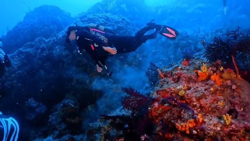 Ayvalık’ta dalış turizmine Kültür ve Turizm Bakanlığı'ndan müjde geldi