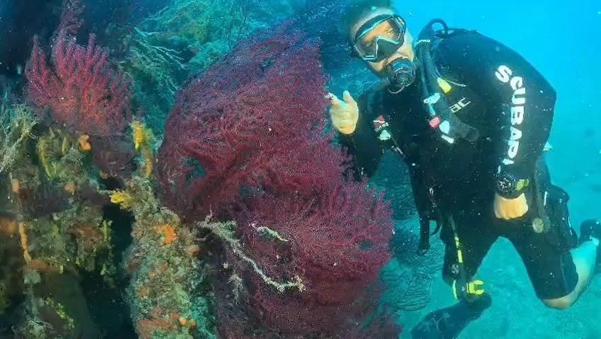 Ayvalık’ta dalış turizmine Kültür ve Turizm Bakanlığı'ndan müjde geldi