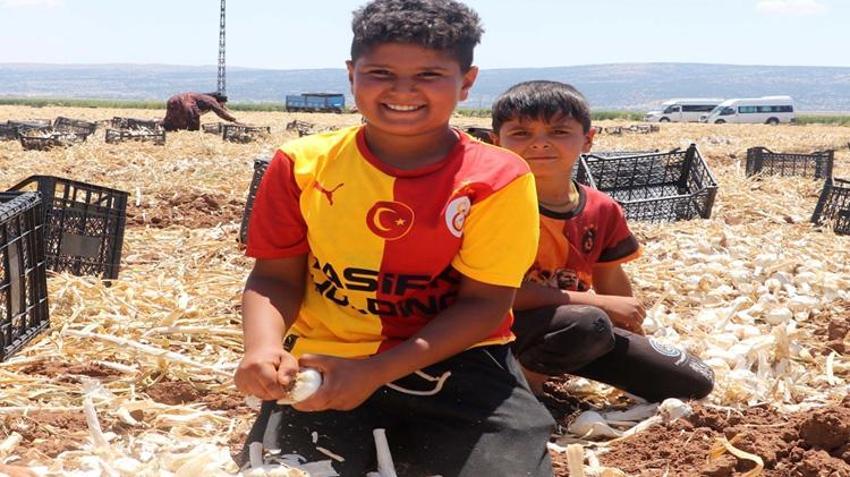 Dünyada ilk 5'te yer alıyor! Tarladan markete fiyat 3'e katlandı, üretici kazanamıyor