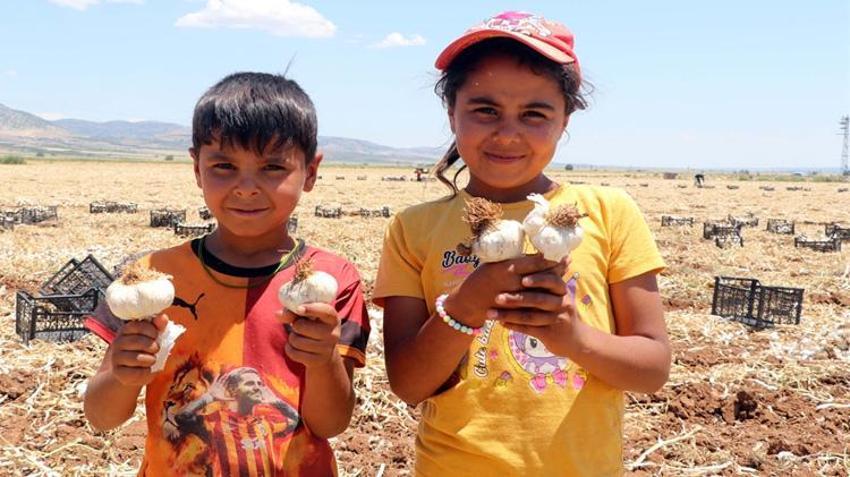 Dünyada ilk 5'te yer alıyor! Tarladan markete fiyat 3'e katlandı, üretici kazanamıyor