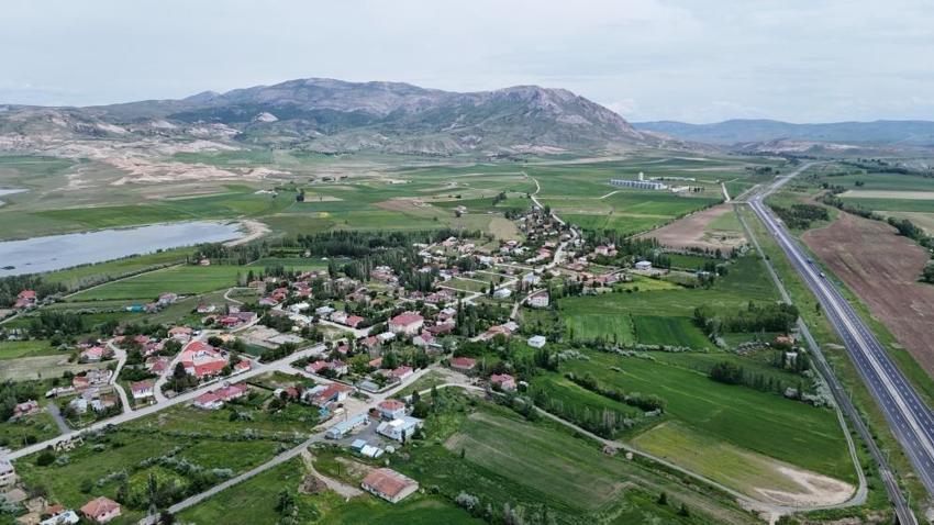 Sivas'ta yeniden hayata tutundu: Yağmurlar can verdi