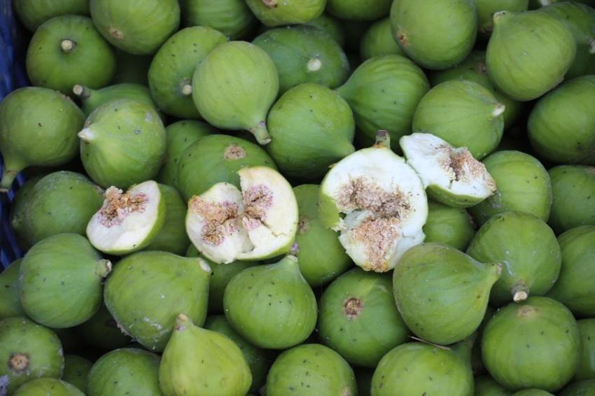 Aydın'da sezonu başladı: Kilosu 500 liraya gidiyor