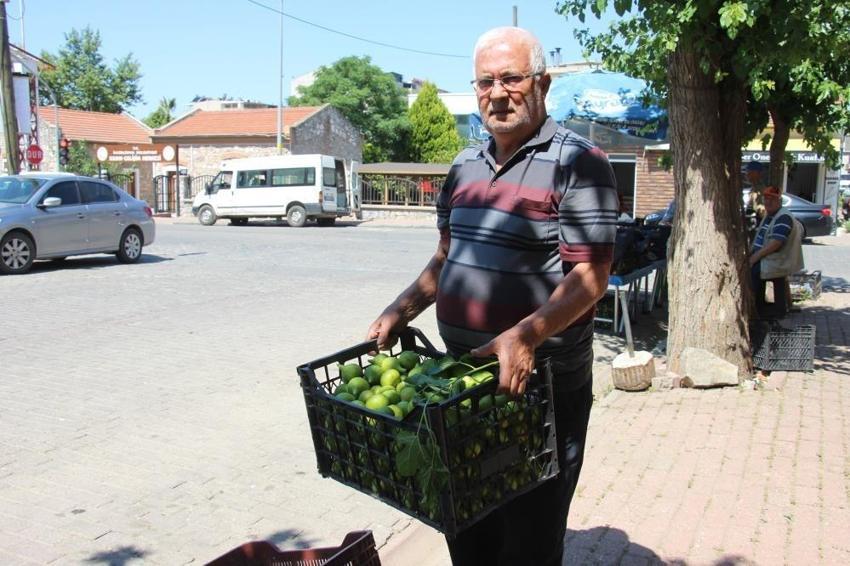 Aydın'da sezonu başladı: Kilosu 500 liraya gidiyor