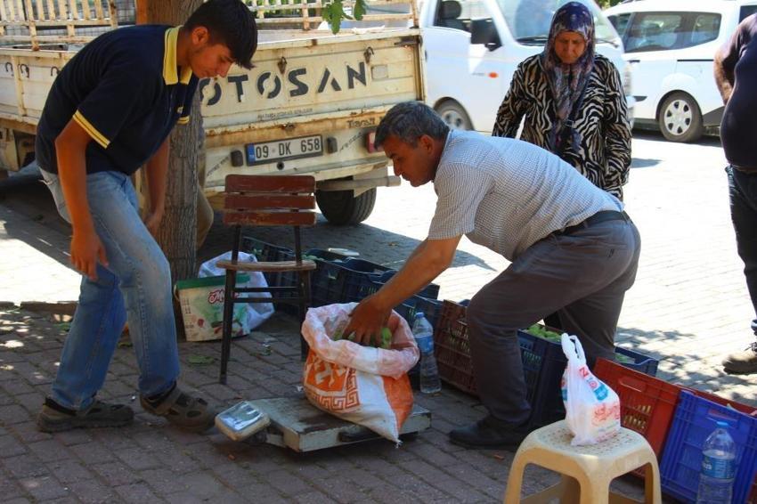 Aydın'da sezonu başladı: Kilosu 500 liraya gidiyor