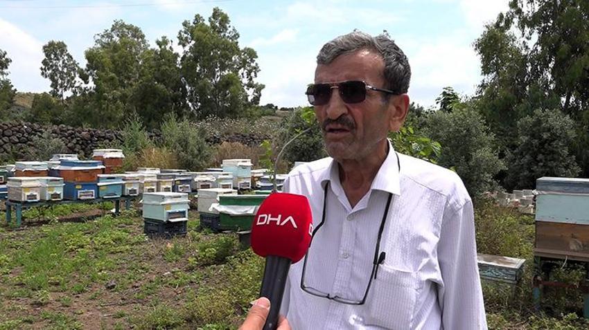 Kovanlara gizlice atıyorlar, sofralara zehir olarak geliyor! Arıcılarda yayla göçü öncesi alarm verildi: O ilaç petekleri değil hayatları karartıyor