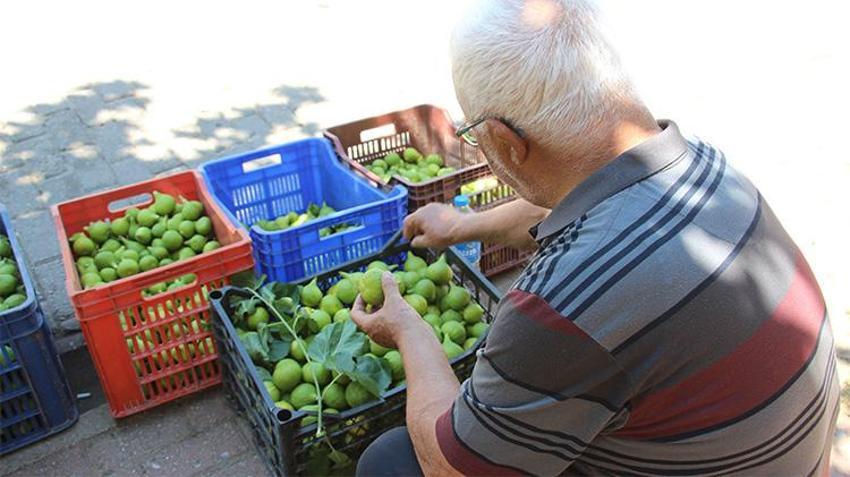 Bu pazarda meyve değil ilek satılıyor! Kilosu 500 TL'den kapış kapış gidiyor