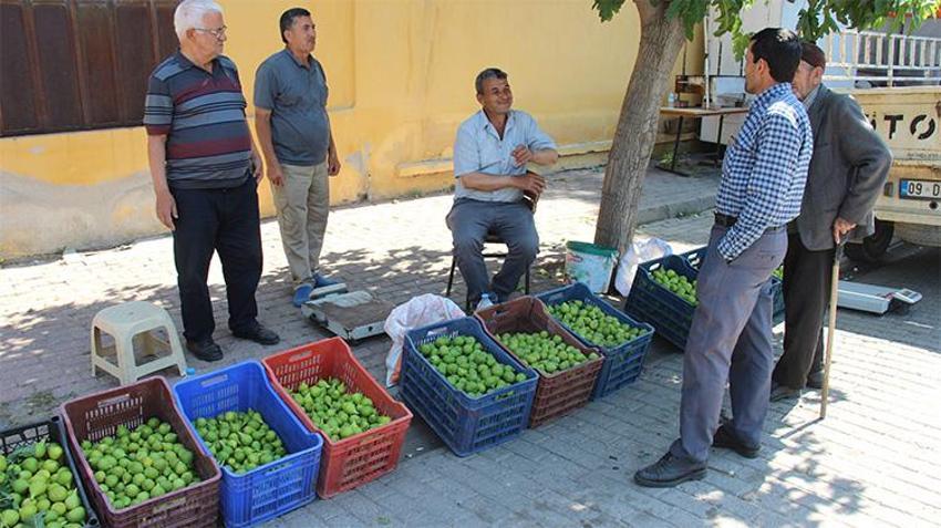 Bu pazarda meyve değil ilek satılıyor! Kilosu 500 TL'den kapış kapış gidiyor