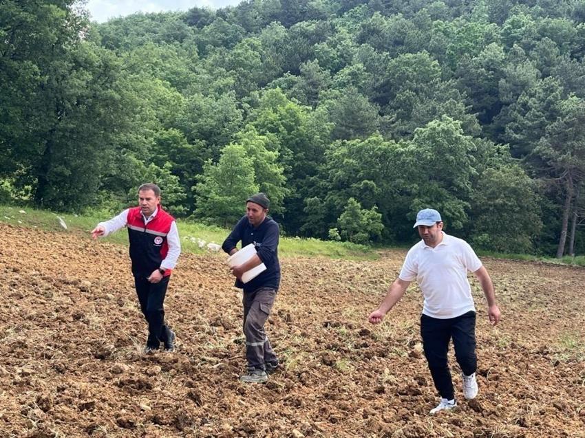 Bursa'nın Orhaneli ilçesinde üreticiyi sevindiren haber: Dağıtımına başlandı