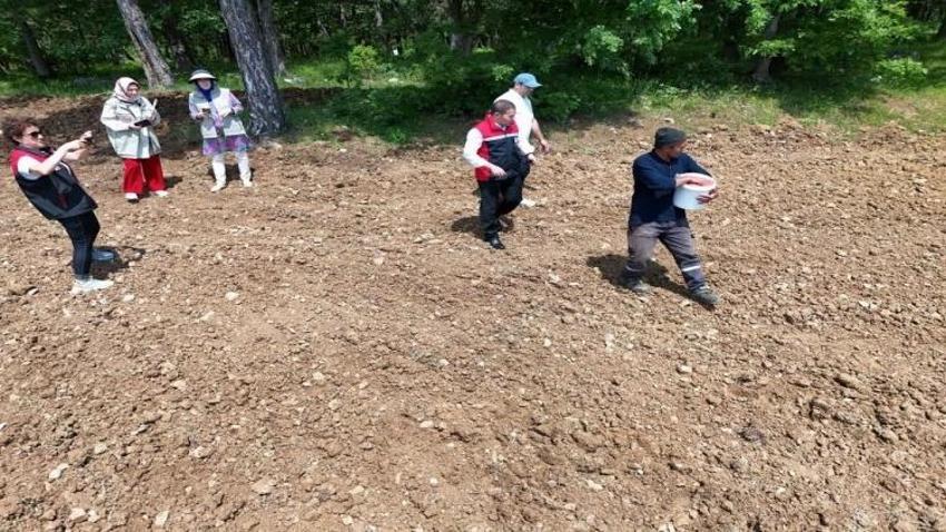 Bursa'nın Orhaneli ilçesinde üreticiyi sevindiren haber: Dağıtımına başlandı
