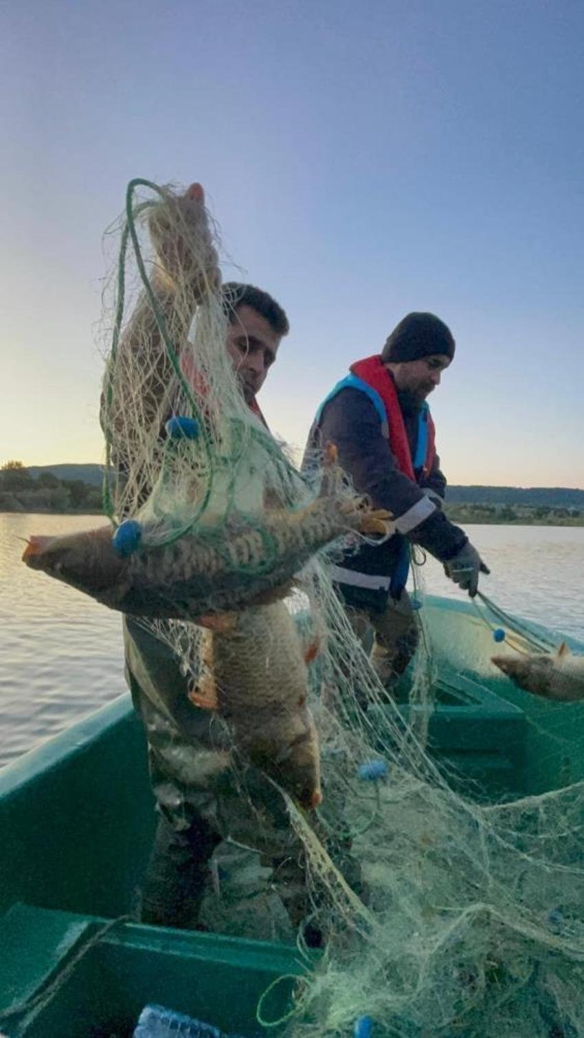 Kastamonu Devrekani Beyler Barajı'nda ekipler düğmeye bastı: 1800 metrelik ağdan 200 kilo sazan kurtarıldı