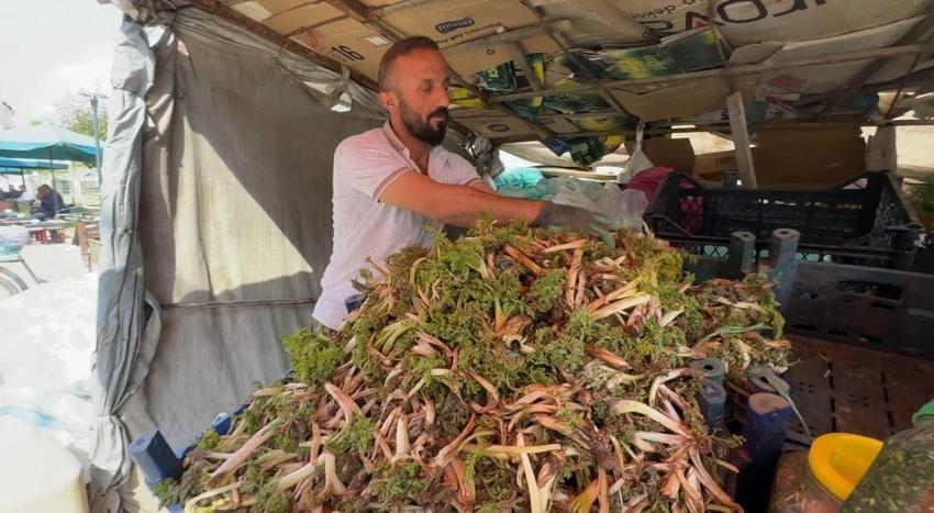 Şifalı otlar vatandaşın geçim kapısı oldu! Yüksekova dağlarının bitkileri tezgahlardaki yerini aldı