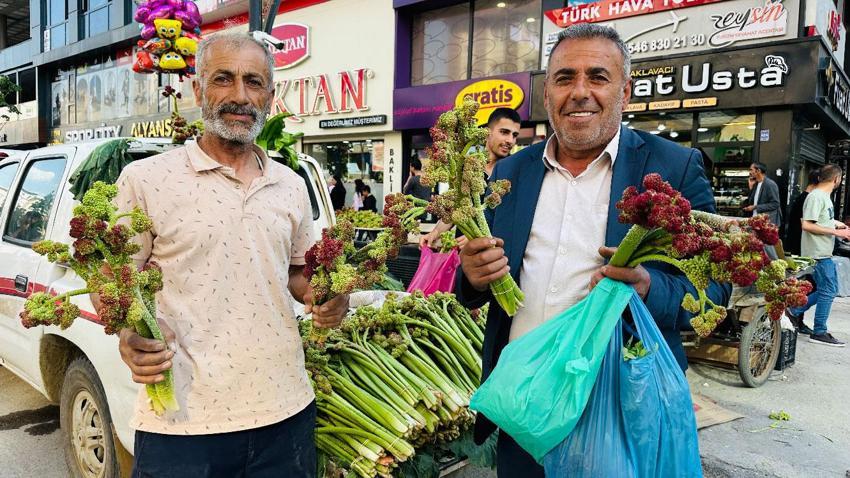 Şifalı otlar vatandaşın geçim kapısı oldu! Yüksekova dağlarının bitkileri tezgahlardaki yerini aldı