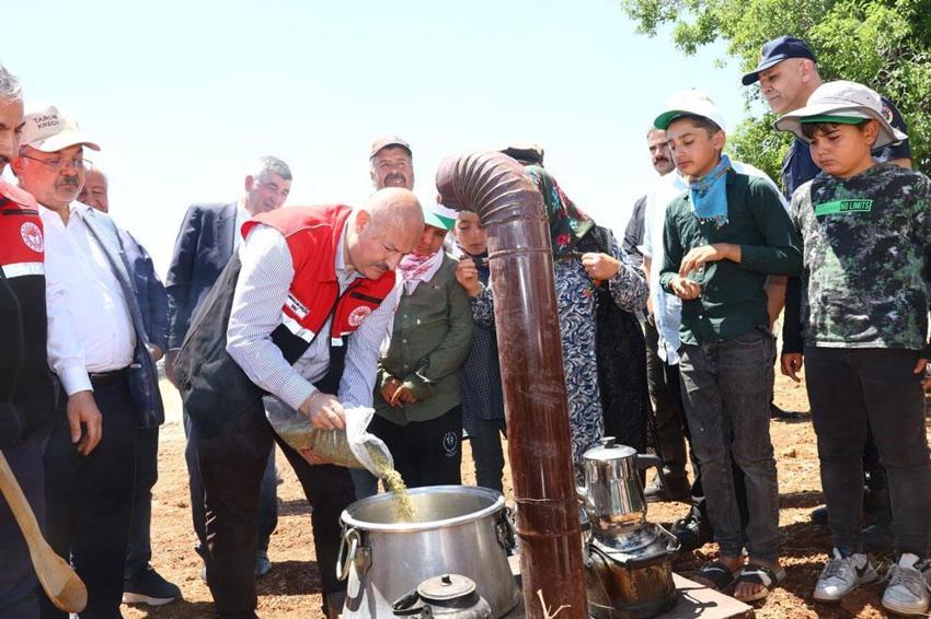 Adıyaman’ın asırlık eşsiz lezzeti firik bulgurunun hasadı başladı