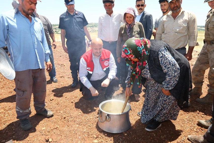 Adıyaman’ın asırlık eşsiz lezzeti firik bulgurunun hasadı başladı