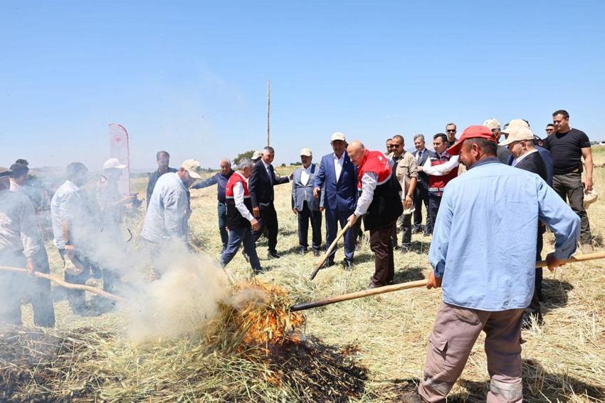 Adıyaman’ın asırlık eşsiz lezzeti firik bulgurunun hasadı başladı