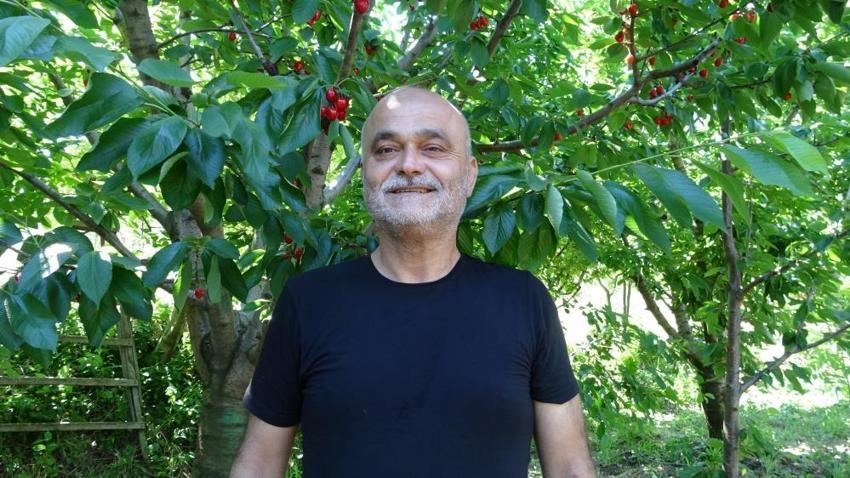 Türkiye'nin üretim merkezi meyvenin kalbi Lapseki'den kalpli kirazlar