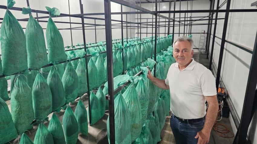 Artvin'de yıllardır kapalıydı şimdi bereket fışkırıyor! Yüzde 80 tasarrufla ilk hasat yapıldı: Faturayı gören buraya koşacak!