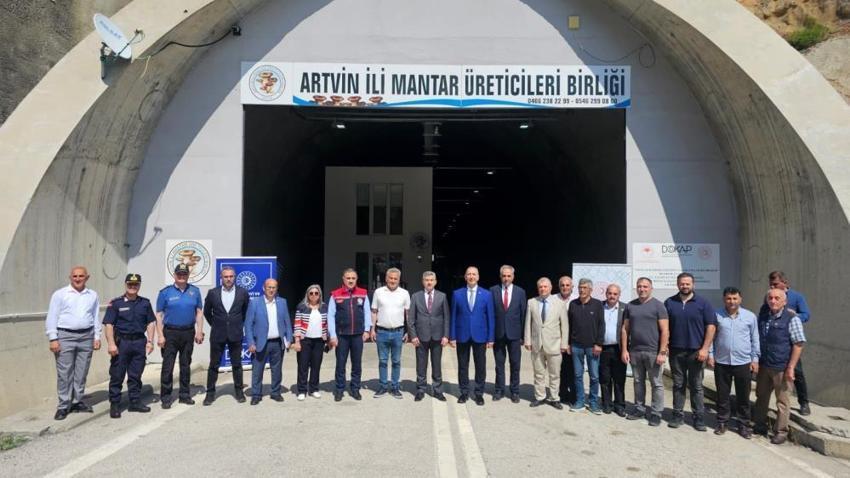 Artvin'de yıllardır kapalıydı şimdi bereket fışkırıyor! Yüzde 80 tasarrufla ilk hasat yapıldı: Faturayı gören buraya koşacak!