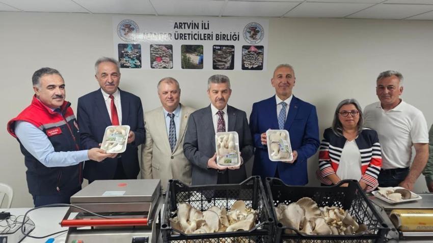 Artvin'de yıllardır kapalıydı şimdi bereket fışkırıyor! Yüzde 80 tasarrufla ilk hasat yapıldı: Faturayı gören buraya koşacak!