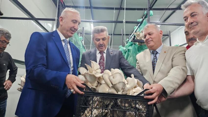 Artvin'de yıllardır kapalıydı şimdi bereket fışkırıyor! Yüzde 80 tasarrufla ilk hasat yapıldı: Faturayı gören buraya koşacak!