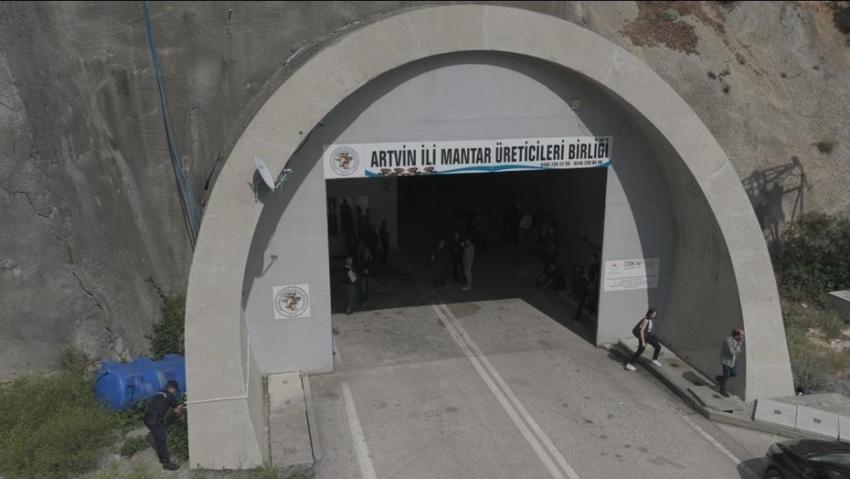 Artvin'de yıllardır kapalıydı şimdi bereket fışkırıyor! Yüzde 80 tasarrufla ilk hasat yapıldı: Faturayı gören buraya koşacak!