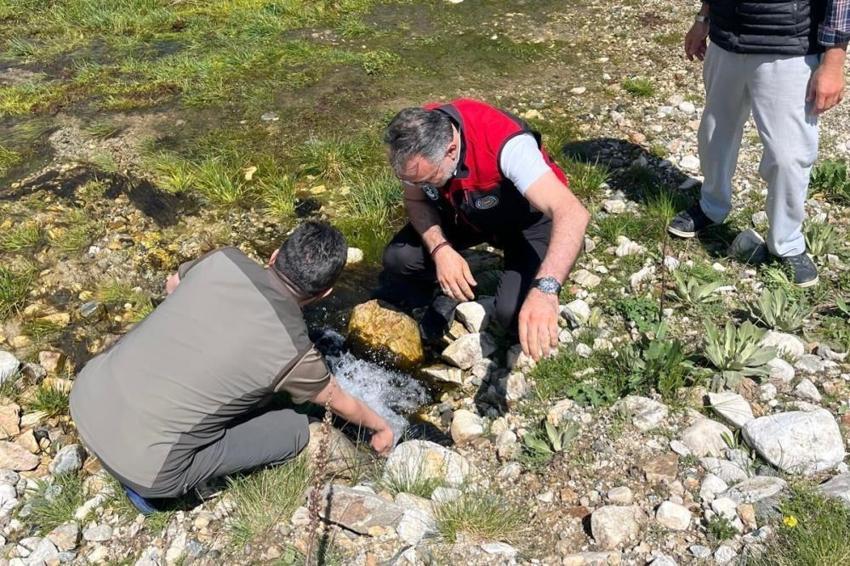 Bursa'da çiftçinin yüzünü güldürecek proje! Sulama maliyetleri düşüyor, Kestel ahududusu dünyaya açılıyor!