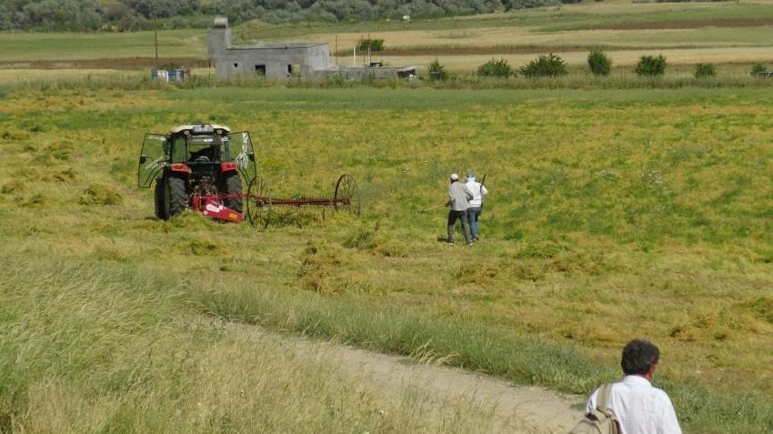 Batmanlı çiftçinin yüzü gülüyor! Geçen yıl tek bir tane bile çıkmamıştı, bu sene rekor bekleniyor