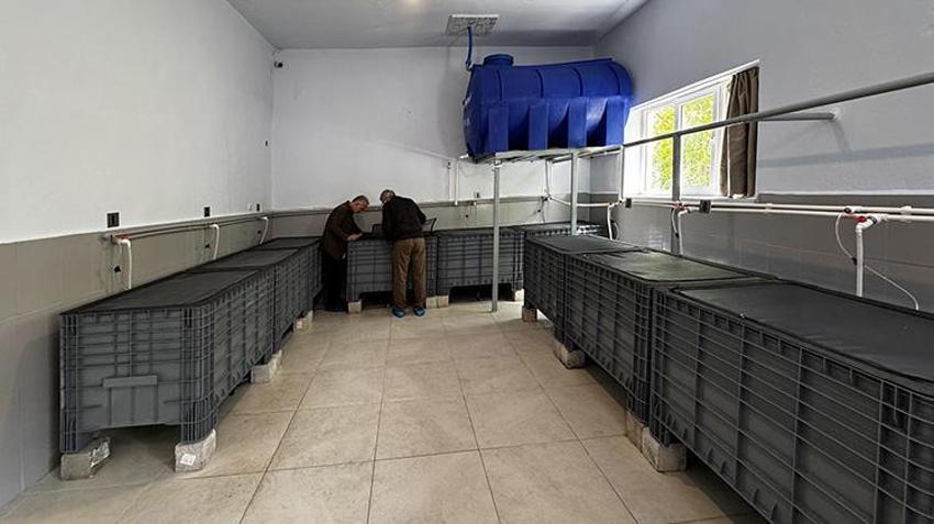 Elazığ'da muhasebeci okuduğu makaleyle hayatını değiştirdi! Atıl mezbahayı fabrikaya çevirdi: Tanesi 18 dolar!