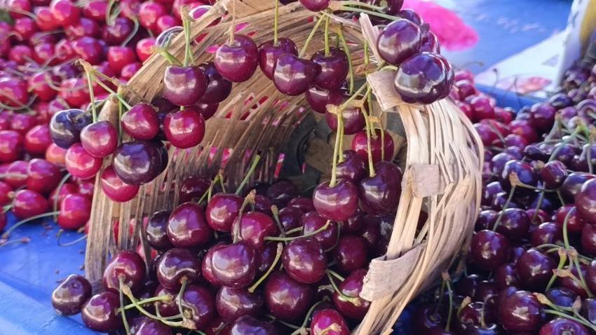 Yanına yaklaşılmıyordu, şimdi kapış kapış gidiyor: Kilosu 250 liradan 100 liraya geriledi: Tezgâhlarda izdiham var!