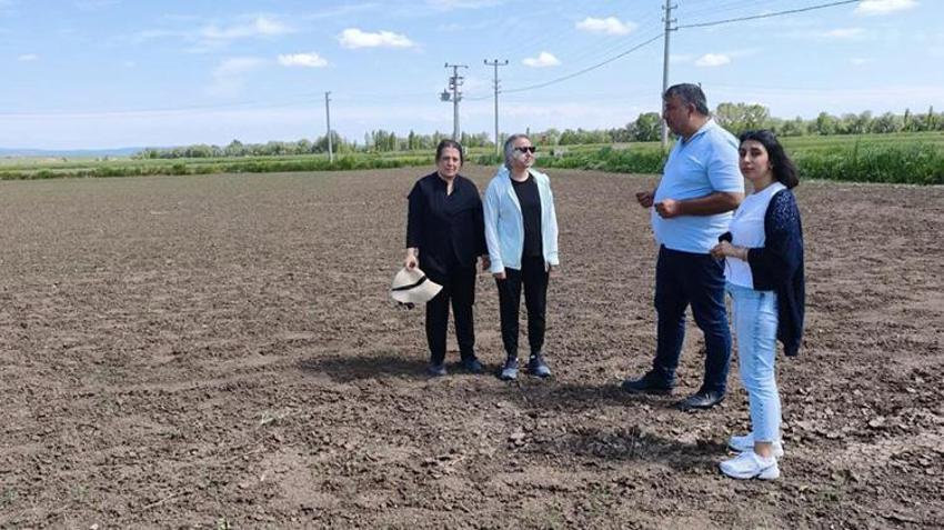 Çorum’un coğrafi işaretli değerine bilimsel koruma! Tarlalar karış karış inceleniyor