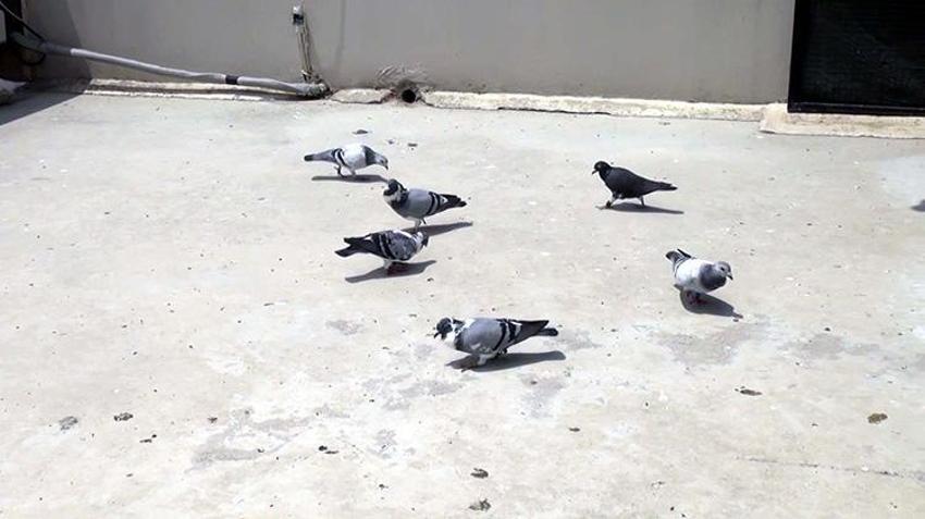 Telefon bağımlılığından bu sayede kurtuldu! 'Hayatım birden bire değişti'