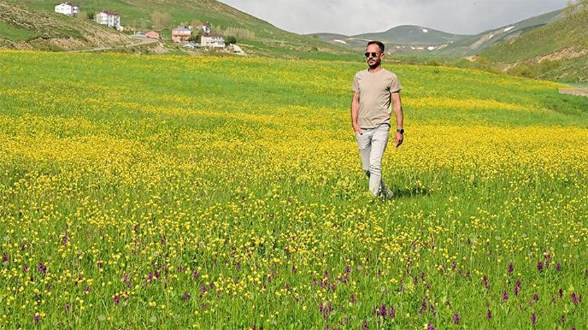 Doğaseverlerin yeni rotası! Sadece 20 gün sürüyor; Gümüşhane'deki o vadi sarıya boyandı