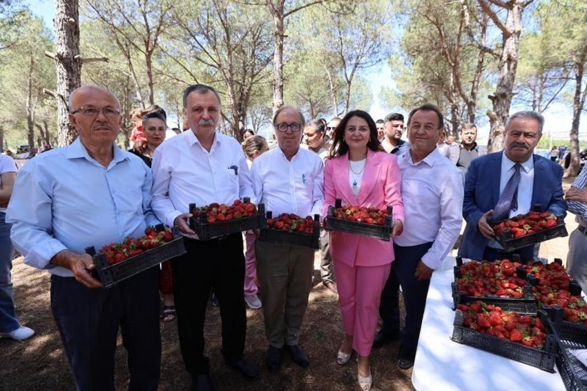 Manisa'da hasat şenlikle başladı: Yunusemre'nin tarımsal değerinde rekor kırıldı