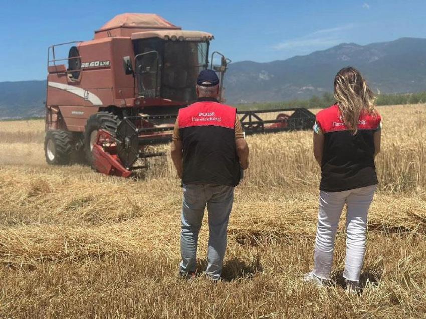 Türkiye’nin en önemli tarım merkezi Edremit’te buğday hasadı başladı