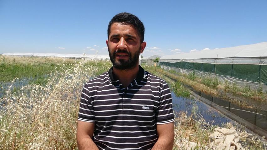 Aşırı yağışlar Batman'da felaket getirdi: Baraj suları seraları vurdu, milyonlarca liralık zarar oluştu