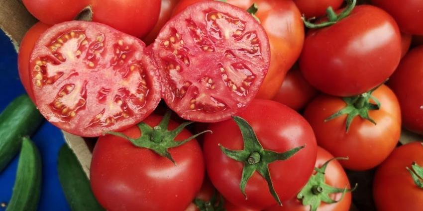 Türkiye'nin üretim rekoru o şehirden geldi! Hem çiftçiye hem ülkeye kazandırıyor