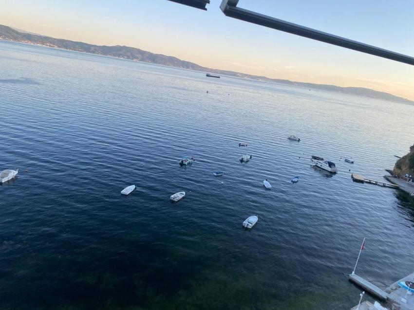 Gemlik'te sevindiren manzara: Müsilaj sonrası yüzler güldü