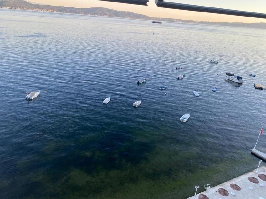 Gemlik'te sevindiren manzara: Müsilaj sonrası yüzler güldü