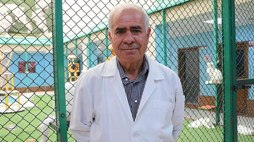 Van Kedi Villası’nda 100 yeni üye heyecanı: 9 günlük bayramda ziyaretçi akını!
