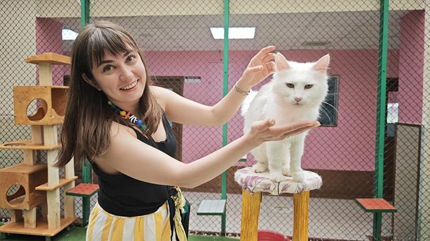 Van Kedi Villası’nda 100 yeni üye heyecanı: 9 günlük bayramda ziyaretçi akını!