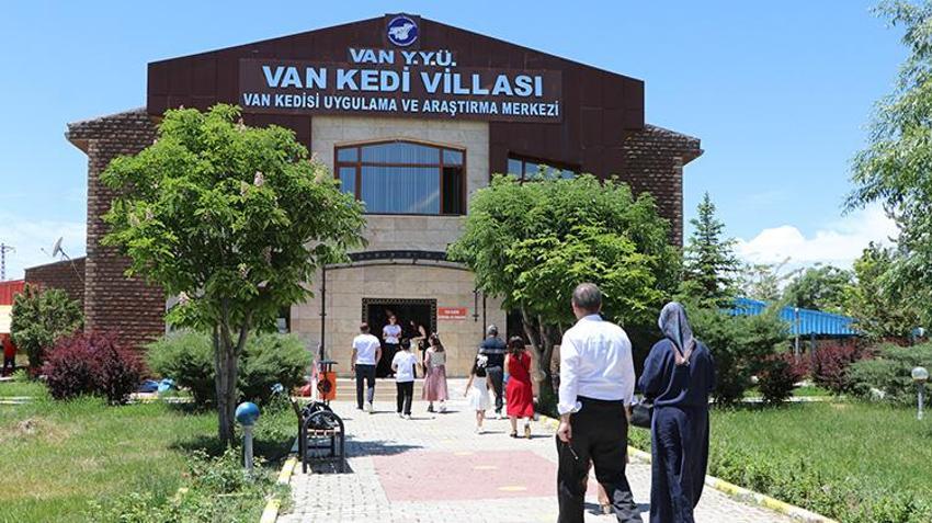 Van Kedi Villası’nda 100 yeni üye heyecanı: 9 günlük bayramda ziyaretçi akını!