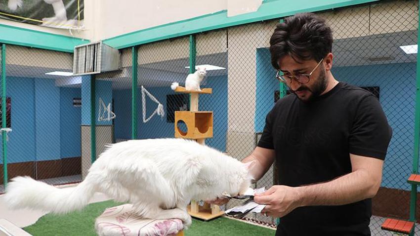 Van Kedi Villası’nda 100 yeni üye heyecanı: 9 günlük bayramda ziyaretçi akını!