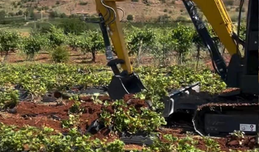 Konya'da çiftçi tarlasına vinç götürüp isyan etti: 13 bin adet çöp oldu