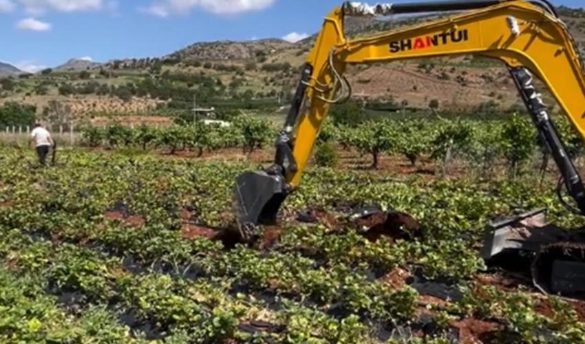 Konya'da çiftçi tarlasına vinç götürüp isyan etti: 13 bin adet çöp oldu
