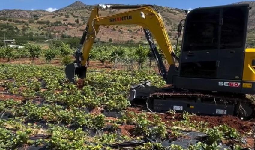 Konya'da çiftçi tarlasına vinç götürüp isyan etti: 13 bin adet çöp oldu