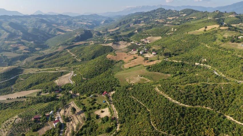 Adana'da kabus sonrası gören inanamıyor! 6 yılda küllerinden doğdu
