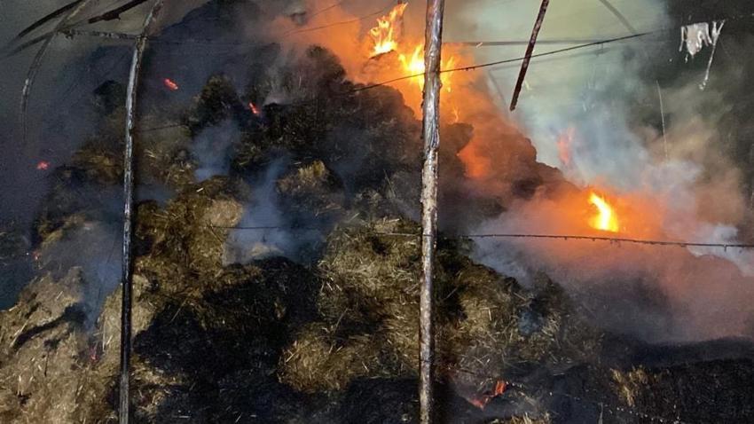 İzmit'te seradaki yangın ahıra dayandı: 16 büyükbaş son anda kurtarıldı! 800 saman balyası küle döndü