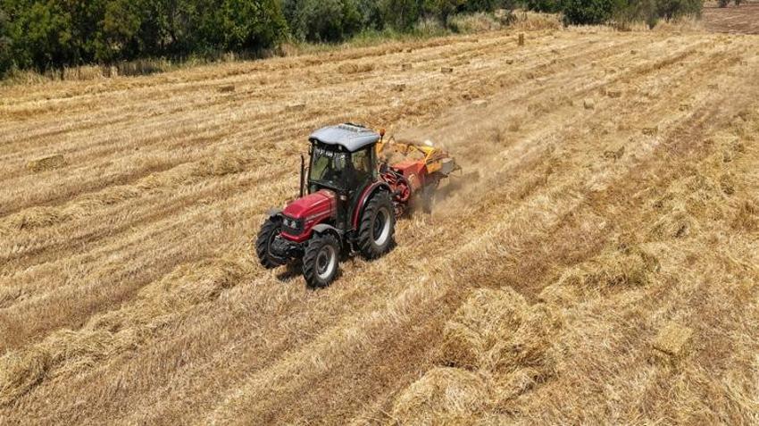 Önce tarlaya seriyorlar sonra dünyaya satıyorlar! ABD ve Avrupa bu ürünlerin peşinde: Binlerce dolara alıcı buluyor
